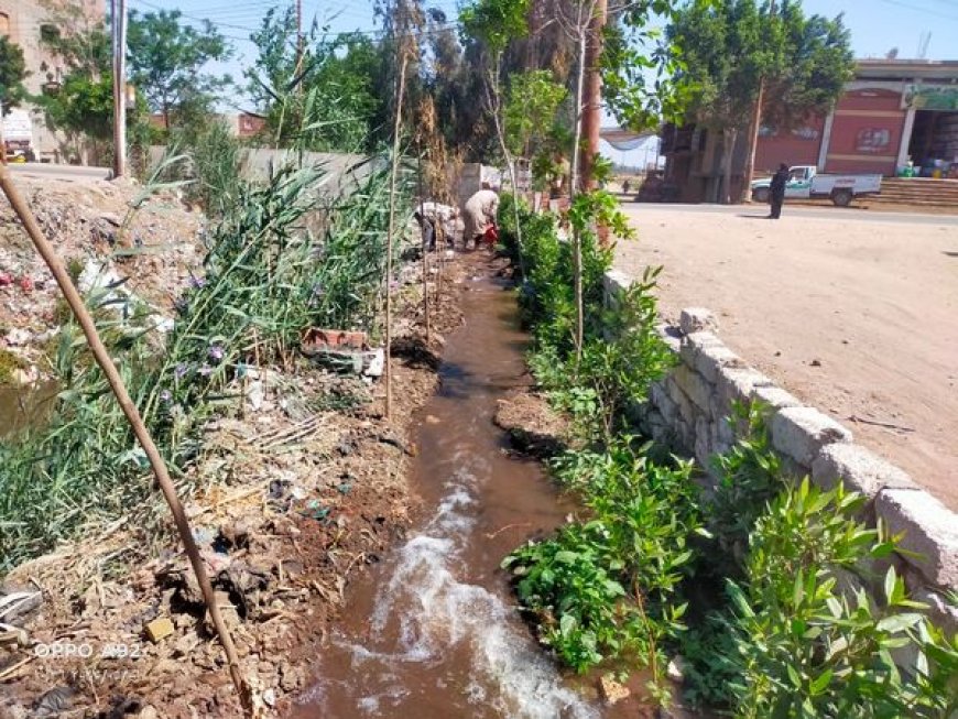 المنوفية .جهود الوحدات المحلية فى متابعة أعمال المبادرة الرئاسية " 100 مليون شجرة " بنطاق المراكز والمدن